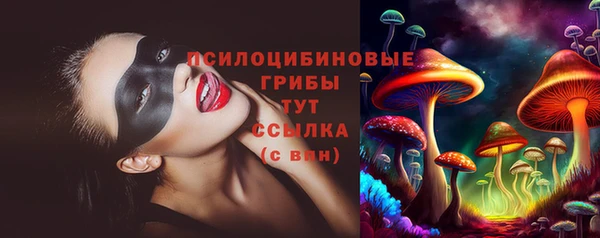 сатива Березники