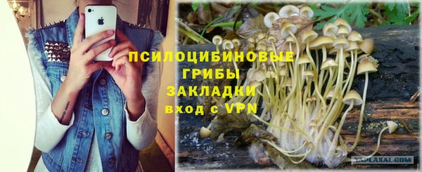 дурь Лихославль