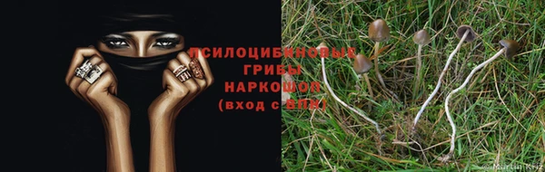 дурь Лихославль