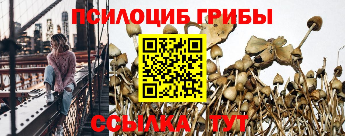Конопля  Конопля  НБОМе  Вход с VPN  КЕТАМИН  Кокаин  Пятигорск  Меф МЯУ МЯУ  МЕФ кристаллы  ГАШИШ 